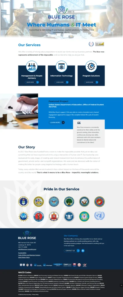 bluerose-consulting
